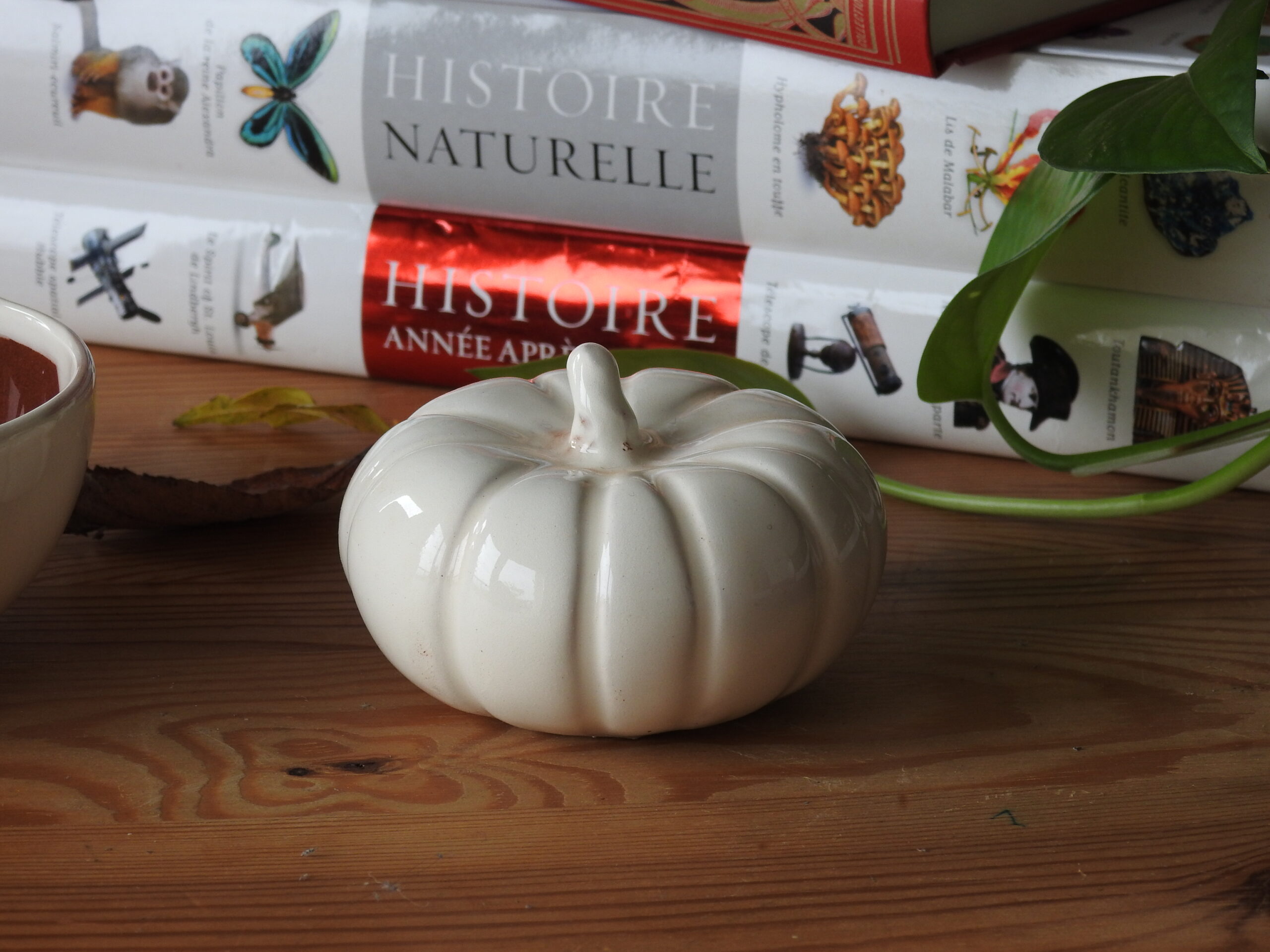 Citrouille décorative – Image 2