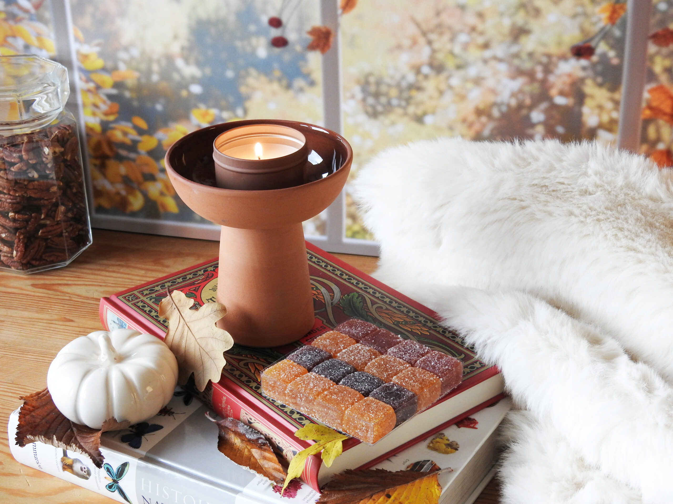 Coupe décorative - Terre brute