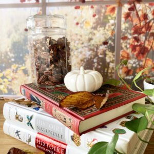 Citrouille décorative